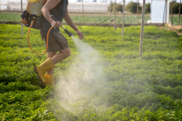 Best Pest Removal Services  in Ulysses, KS