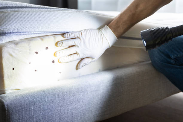 Best Pest Prevention Services  in Ulysses, KS