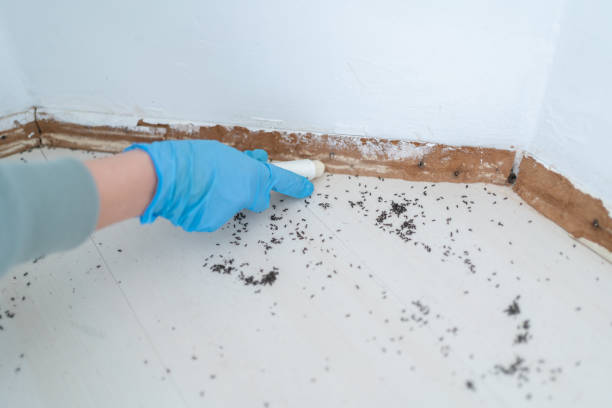 Best Affordable Pest Control Services  in Ulysses, KS