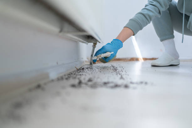 Best Flea Control Services  in Ulysses, KS